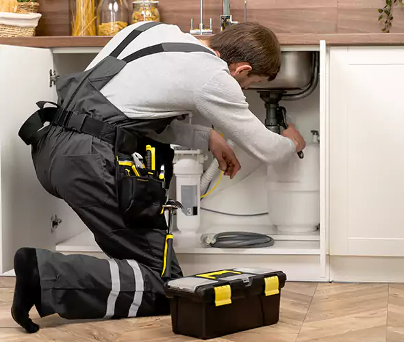 Certified Plumbers for Insinkerator Installation in Queen Creek