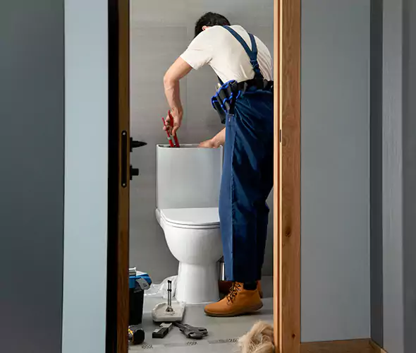 Professional Plumbers for Toilet Bowl Replacement in Queen Creek, AZ: Schedule Affordable Toilet Replacement Services With Us