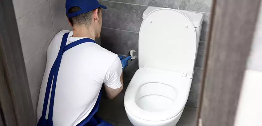 Toilet Lid Replacement in Queen Creek