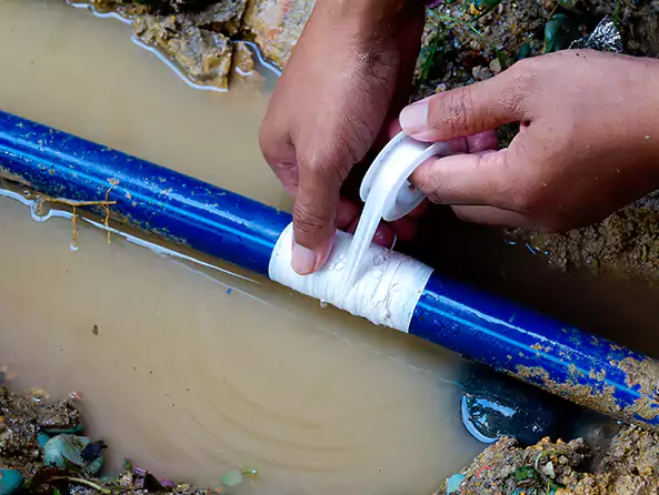  Why Choose Queen Creek Plumbing Pro for Leak Detection in Queen Creek, AZ?]