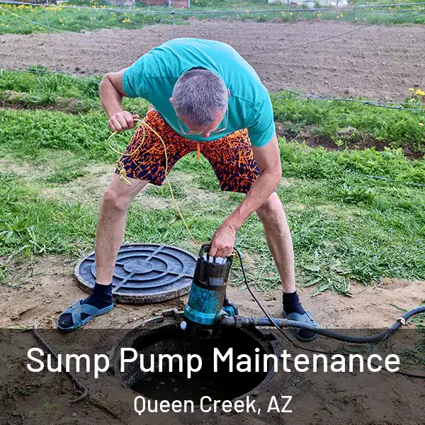  Sump Pump Maintenance Queen Creek, AZ