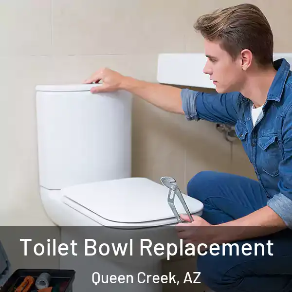  Toilet Bowl Replacement Queen Creek, AZ