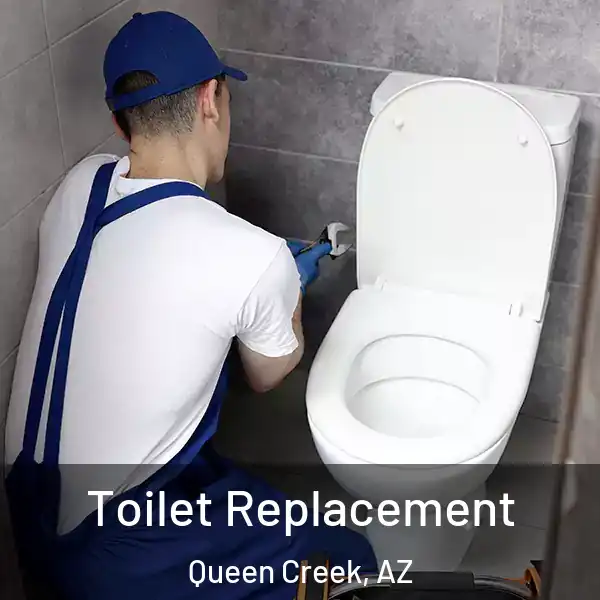  Toilet Replacement Queen Creek, AZ